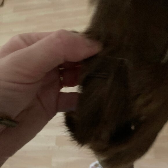 NWOT Embroidered Shearing Afghan Penny lane 100% GOAT SKIN Arden B. Women coat M - Picture 8 of 11